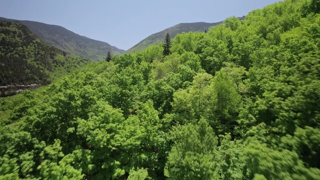 Dramatic drone fly over dense green forest covers steep mountain slopes and a winding highway cuts through the valley with Franconia Notch&rsquo;s Echo Lake, New Hampshire, US