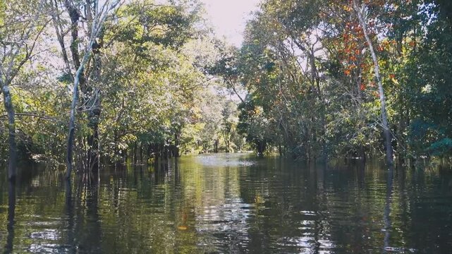 Rise of Amazon river levels witnessed during a boat ride