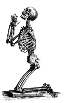 Praying Skeleton Kneeling Vintage Engraving Illustration Isolated on Transparent Background