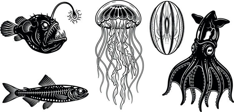 Bioluminescent Deep Sea Creatures Line Art Vector Set with Anglerfish Vampire Squid Jellyfish Comb Jelly and Bristlemouth Marine Biology Life Graphics