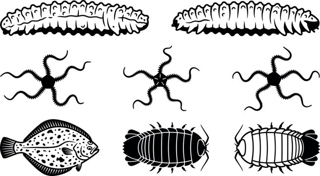 Benthic Zone Marine Organisms Silhouette Vector Set with Flounder Sea Cucumbers Brittle Stars and Deep Sea Isopods Ocean Floor Life Graphics