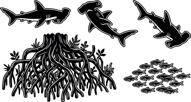 Hammerhead Shark Nursery Silhouette Vector Set with Baby Sharks Swimming Near Mangrove Tree Roots and Small Schooling Baitfish Coastal Ecosystem Graphics