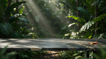 Fototapeta premium A stone platform surface in a sunlit tropical rainforest background