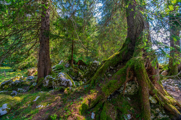 Fototapeta premium Landschaft im Appenzeller Land