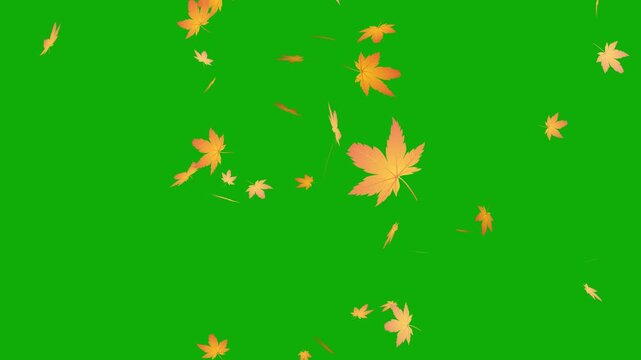 green screen falling autumn leaves background, autumn leaves falling animation chroma key transition overlay.
