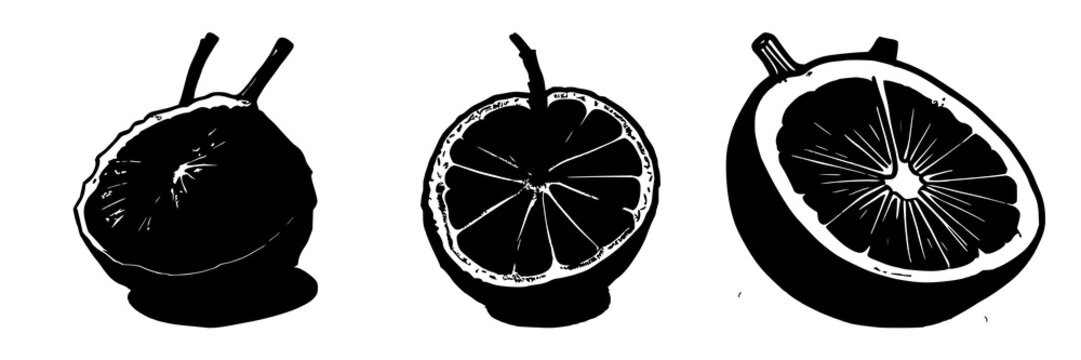Laboratory-grown mangosteen cross-section silhouette set with solid black outline on white background featuring exotic fruit, future food, and scientific illustration