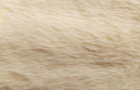 Soft Creamy Off-White Faux Fur Fabric Texture Background