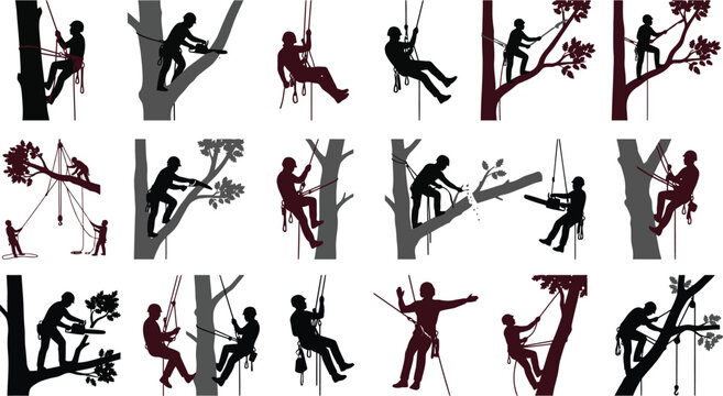 Professional Arborist Tree Climbing Transparent Vector