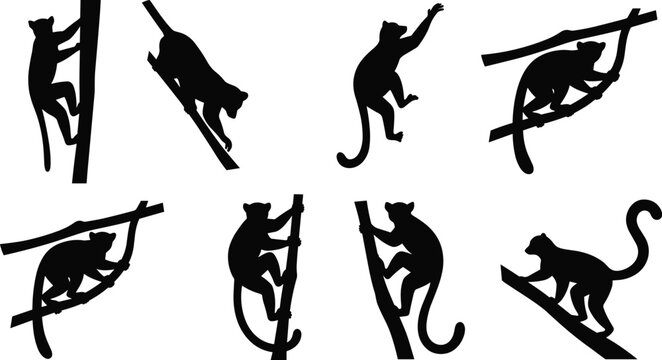 Monkey Silhouette Collection with Climbing, Swinging, Walking, and Perching Poses on Tree Branches Isolated Primate Wildlife Vector Illustration Set