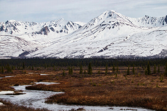 River and mountain on the Denali Highway