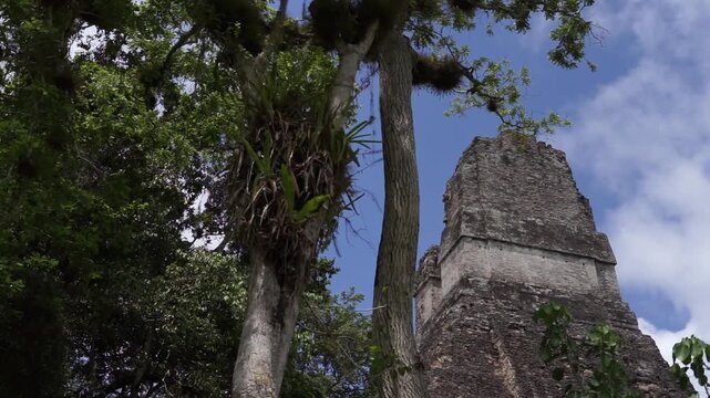 Parque Nacional Tikal Guatemala Peten, Ruinas Mayas 