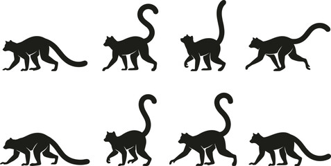Ring Tailed Lemur Walking Silhouette Collection with Different Tail Positions and Natural Movement Poses Isolated Wildlife Primate Vector Illustration Set © MstSuborna