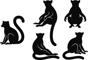 Ring Tailed Lemur Silhouette Collection with Sitting, Resting, Front View, and Relaxed Primate Poses Isolated Wildlife Vector Illustration Set © MstSuborna