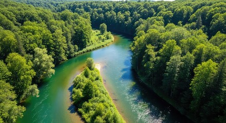 Fototapeta premium A winding river meanders through a dense green forest landscape, capturing the natural beauty of flowing water from high above the earth, summer, water, sunlight