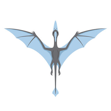 Illustration of a light blue winged prehistoric creature with outstretched wings, viewed from above
