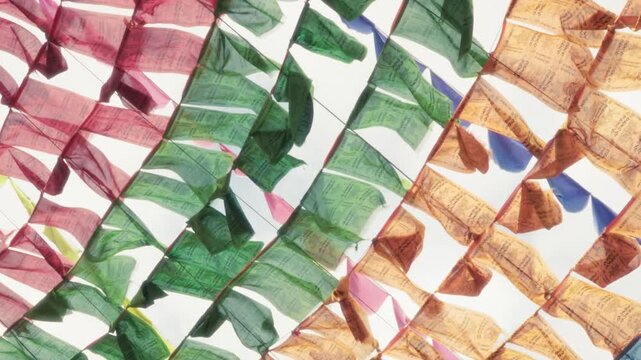 green and red fabric