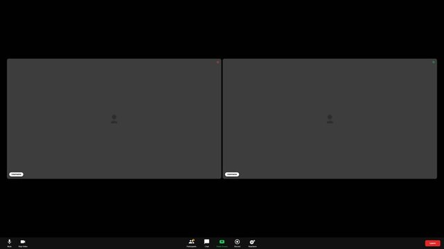Digital video call interface with two participant window placeholders. 4K Video