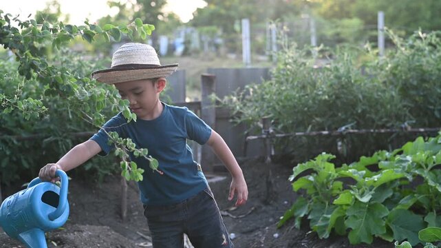 Asian little boy wearing straw hat inspecting green vegetable plant leaf in organic garden