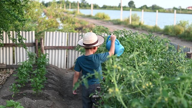 4 Year Old ASEAN Boy Planting Young Vegetable Seedlings in Soil Learning Organic Gardening and Sustainable Food Production