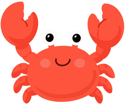 게, crab, 꽃게, blue crab,
crab's claws	,canned crab, tinned crab