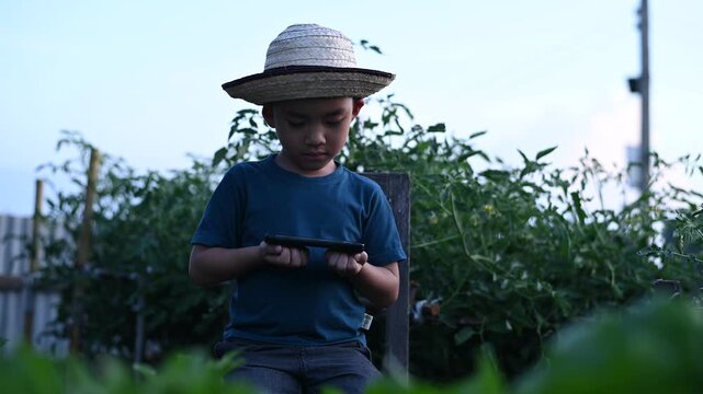 4 Year Old ASEAN Boy Using Tablet in Vegetable Garden Exploring Smart Farming AI Technology and Future Food Security Concept