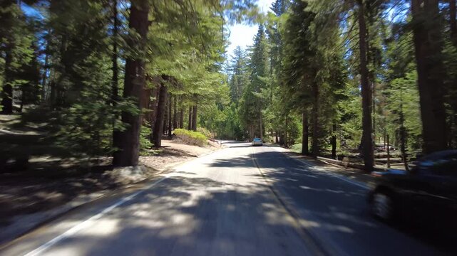 Kings Canyon Scenic Byway West Section 28 Eastbound MultiCam Rear View Grant Tree Road Driving Plate California USA