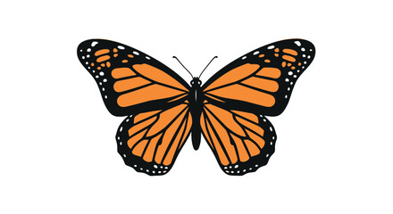 Orange monarch butterfly with black wing patterns © stew