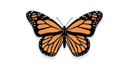 Vibrant orange monarch butterfly with black wing patterns © stew