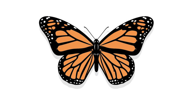 Vibrant orange monarch butterfly with black wing patterns