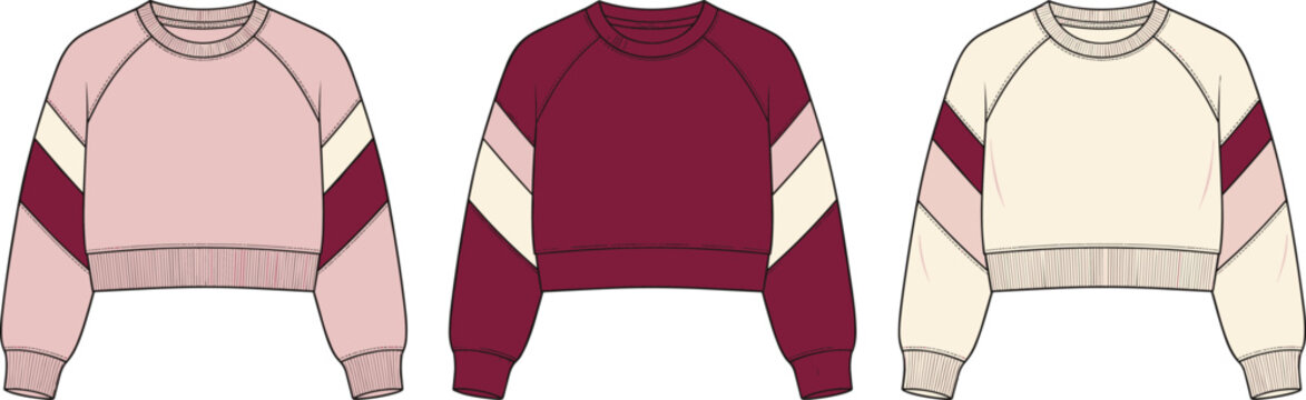 Women cropped sweatshirt fashion flat sketch with raglan sleeves in multiple colorways vector illustration