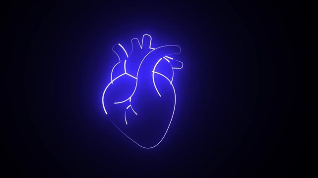Anatomical human heart icon set with outline and solid styles, medical organ animation . 4k video