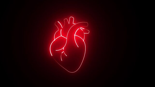 Anatomical human heart icon set with outline and solid styles, medical organ animation . 4k video