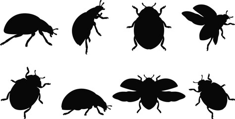 Ladybug silhouette collection featuring ladybird beetles crawling standing flying and open wings poses © Designer Arif