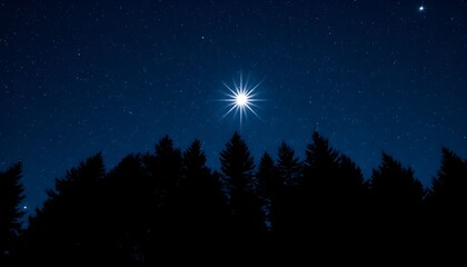 Fototapeta premium Mystical star shining over silhouetted forest trees at night