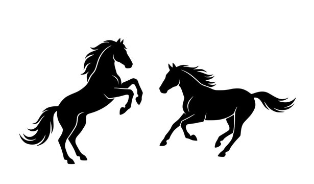 Dynamic horse silhouettes rearing and galloping horses in black and white