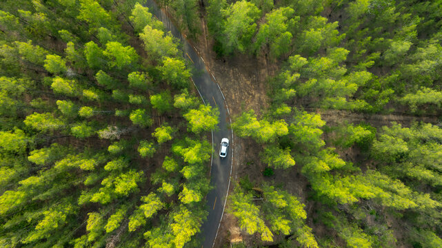 Aerial view of dark green forest road and white electric car Natural landscape and elevated roads Adventure travel and transportation and environmental protection concept