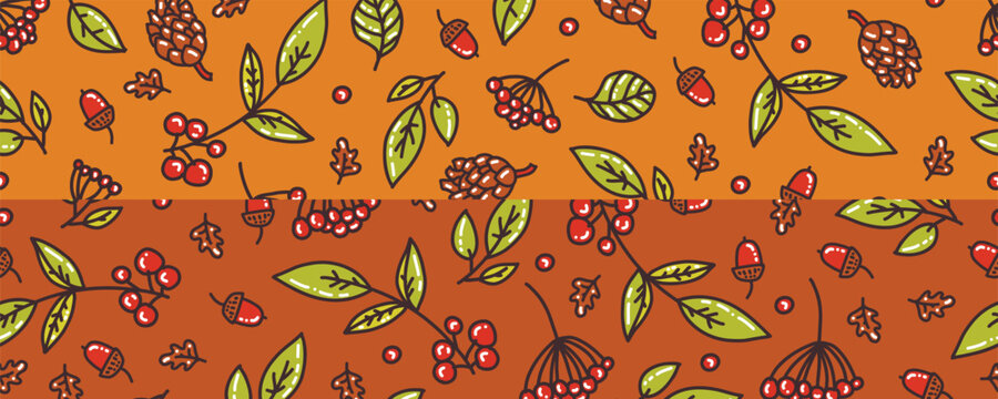 Autumn leaves. Acorns and berries. Vector illustration of autumn decorative borders.