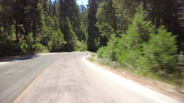 Kings Canyon Scenic Byway West Section 29 Eastbound MultiCam Front View Grant Grove Driving Plate California USA
