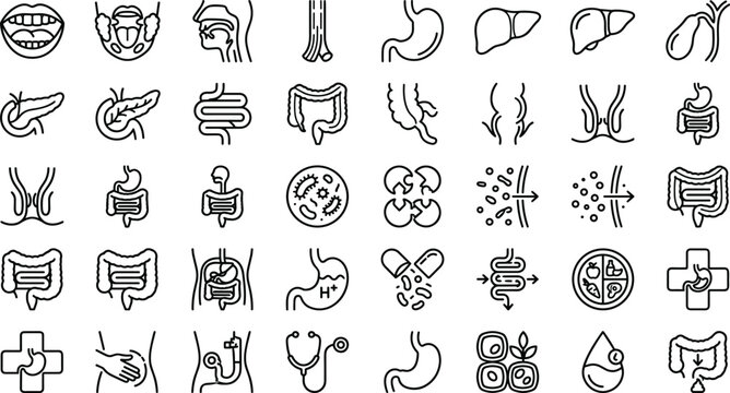 Gastrointestinal tract and human digestive organs line icons collection for medical gastroenterology health care vector web design