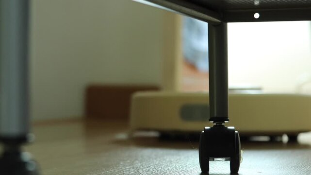 Horizontal 4K footage of a white robotic vacuum cleaner moving toward an orange Siberian cat lying down, which moves away to let it work