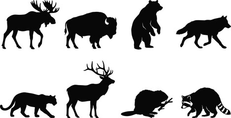North American Wildlife Animal Silhouette Vector Set Featuring Moose Bison Bear Wolf Cougar Deer Beaver and Raccoon © Hasibur