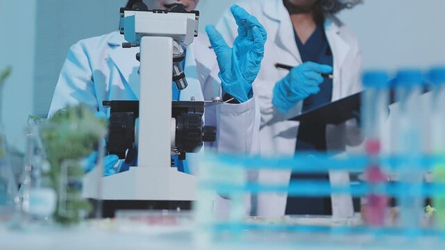 Scientist examining forcemeat in laboratory