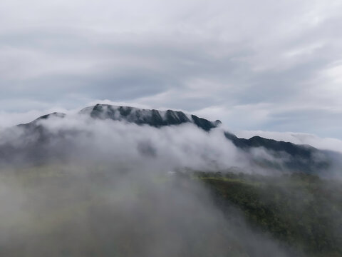 Phu Soi Dao National Park in the rainy season with mist covering the trees and forest has a beautiful and refreshing nature. Located in Thailand