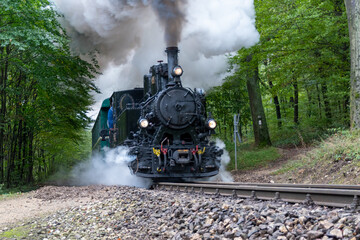 Historic Steam Locomotive on Budapest Children's Railway © Daniel
