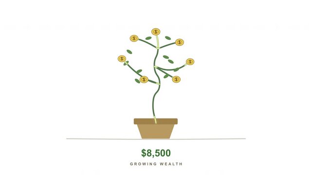 Money plant growing with increasing value over time, investment growth concept