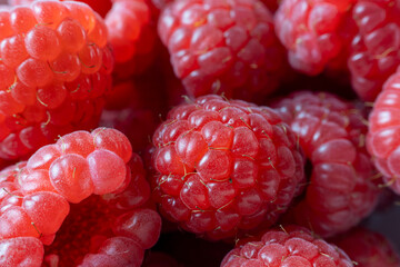 Fresh Red Raspberries Close Up Background © Daniel