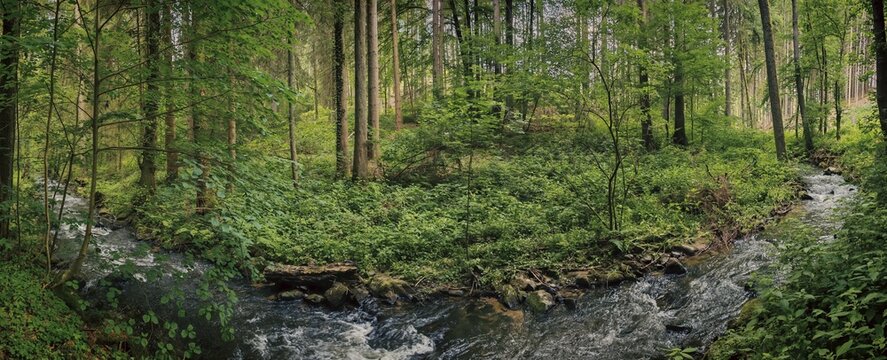 Panorama, A quiet river flows through a dense, green forest, Kosertal nature trail, health resort Wirsberg, Upper Franconia