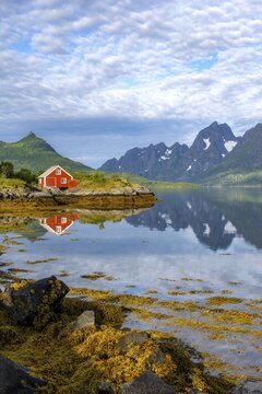 Red fishing hut on the shore, Rorbuer hut, picturesque fjord landscape at Raftsund fjord, mountains reflected in water, Vester&aring;len, Norway