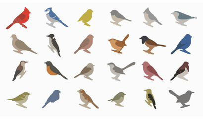 Common Southeastern Backyard Feeder Birds Flat Vector Collection Isolated on White © Shoriful