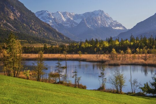 Moor area Seven springs with the Zugspitze group 2962m in spring, Eschenlohe, Loisachtal, The Blue Land, Upper Bavaria, Bavaria, Germany